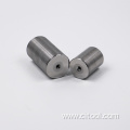 Customized Fasteners Cemented Carbide Punching Die